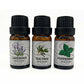 3 Pack - Aromatherapy Essential Oils Set for Air Humidifiers, Oil Diffusers